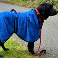 Indlæs billede i gallerifremviser, Mikrofiber Hundehåndklæde
