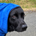 Indlæs billede i gallerifremviser, Mikrofiber Hundehåndklæde