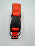 Indlæs billede i gallerifremviser, Hundehalsbånd i Nylon og Læder med AirTag Holder

