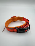 Indlæs billede i gallerifremviser, Hundehalsbånd i Nylon og Læder med AirTag Holder
