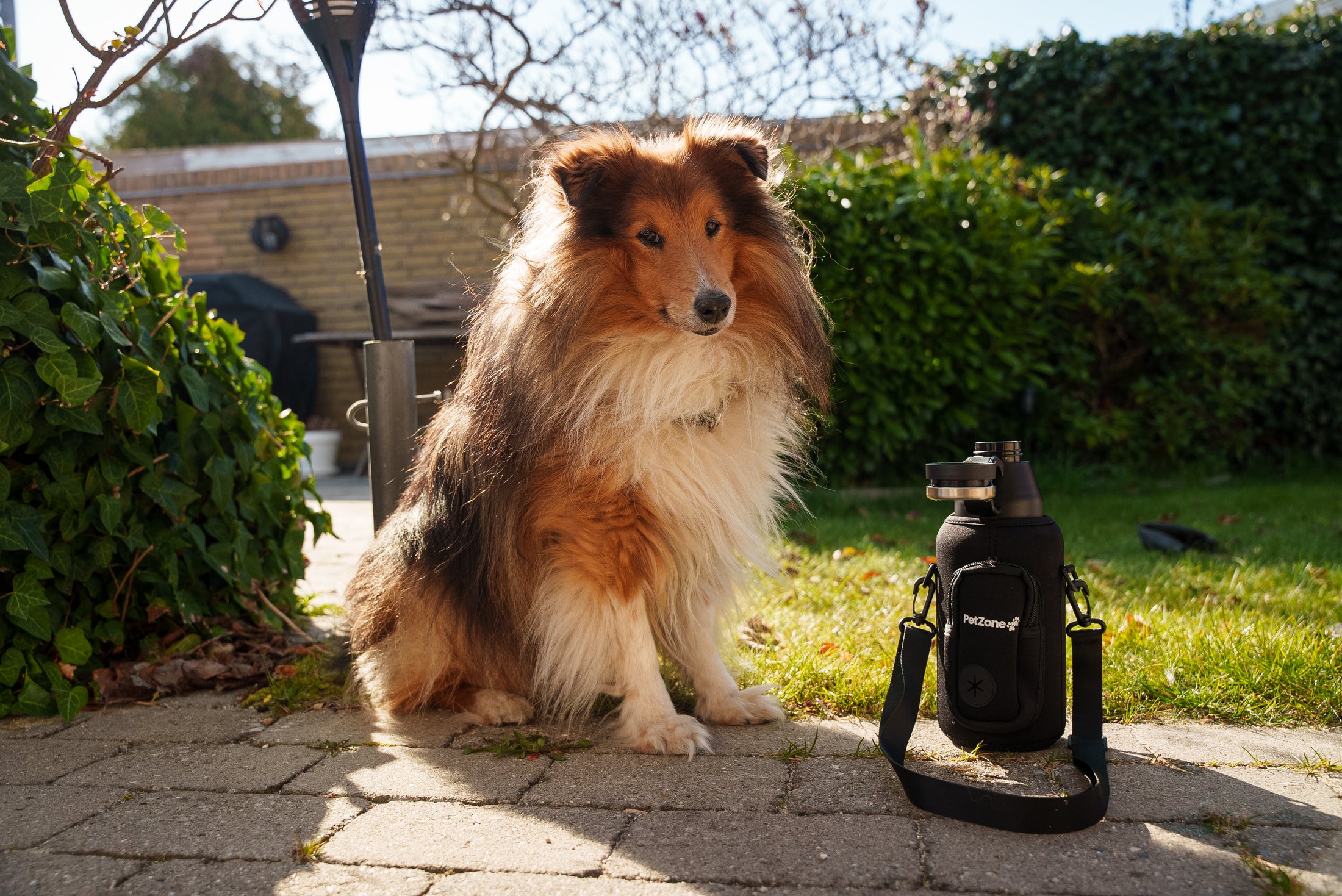 PetZone 3-i-1 Bærbar Hunde Vandflaske + Etui