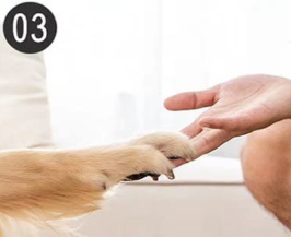 Automatisk Hundepotekop m/Massagefunktion – Genopladelig