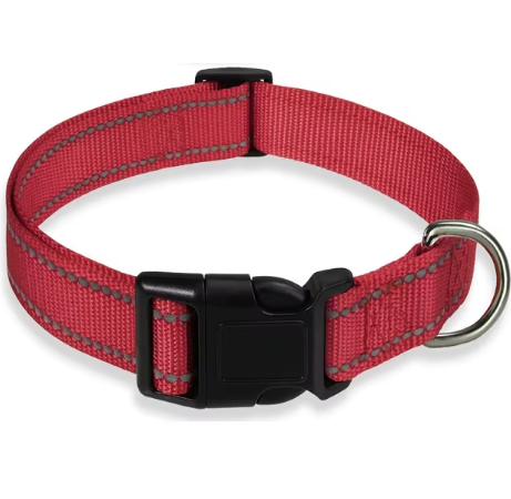 Justerbart Nylon Hundehalsbånd