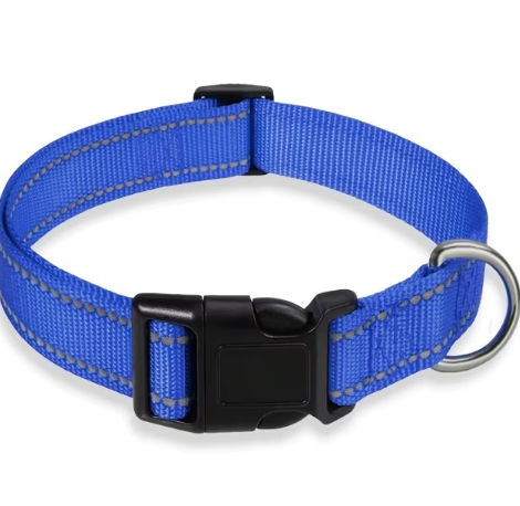 Justerbart Nylon Hundehalsbånd