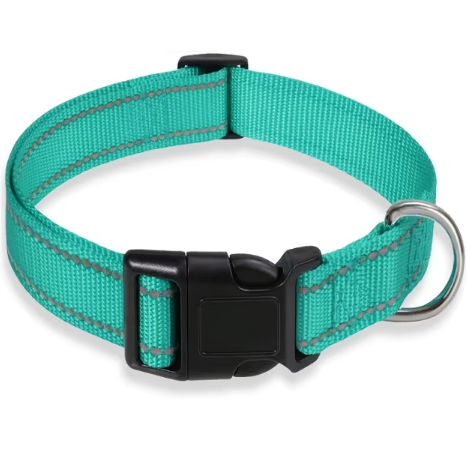 Justerbart Nylon Hundehalsbånd