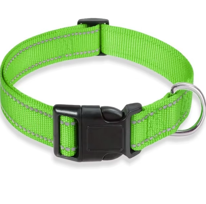 Justerbart Nylon Hundehalsbånd